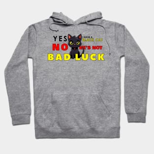 Misconception of Having a Male Black Cat #2 Hoodie